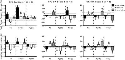 Agmatine for Pain Management in Dogs With Coxofemoral Joint Osteoarthritis: A Pilot Study